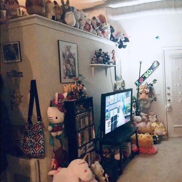 Meet your Posher, Gaby - Picture 5 of 6